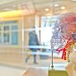 Endocannabinoidsystem